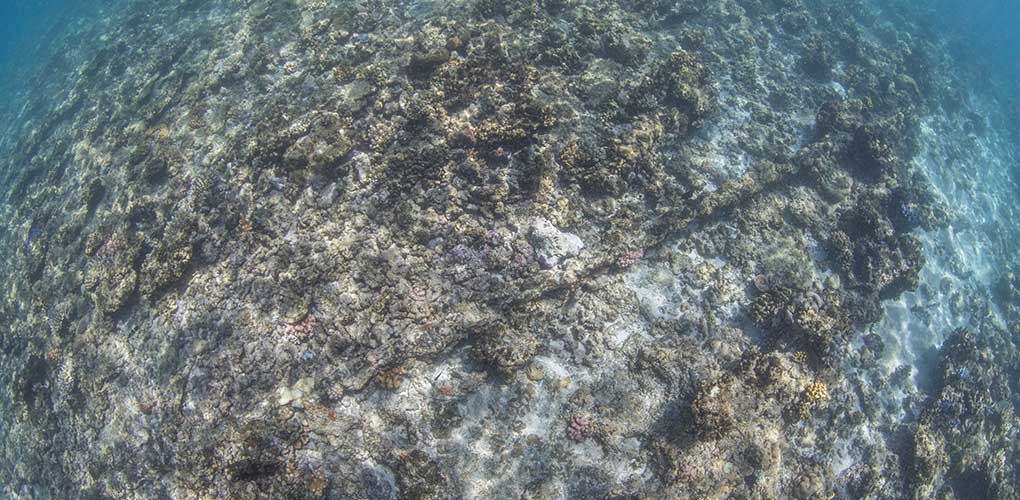 This run of anchor chain was the first indication an historic shipwreck had been discovered at Boot Reef. Image: Julia Sumerling/Silentworld Foundation.