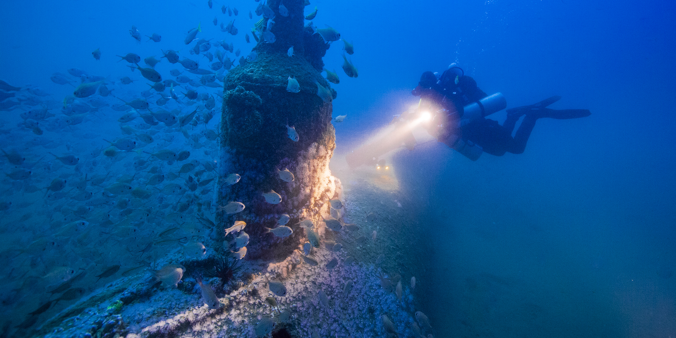 Conducting the photogrammetry survey of M24, using underwater lights. Image: Steve Trewavas. 