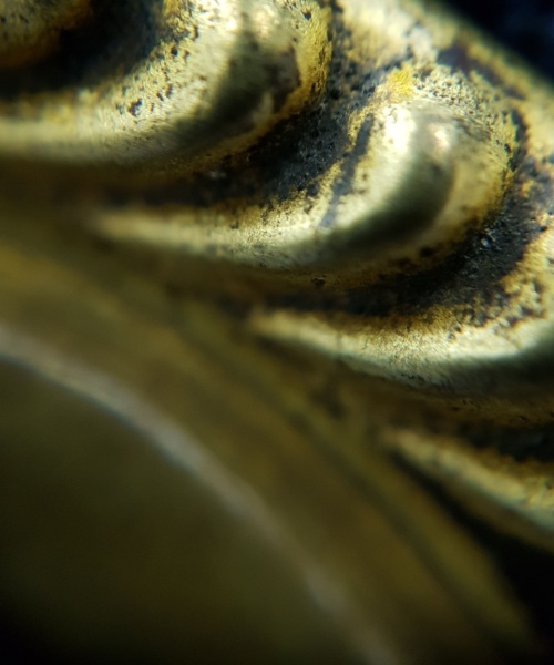 Damage and loss of gilding on the frame of the Joseph Banks cameo