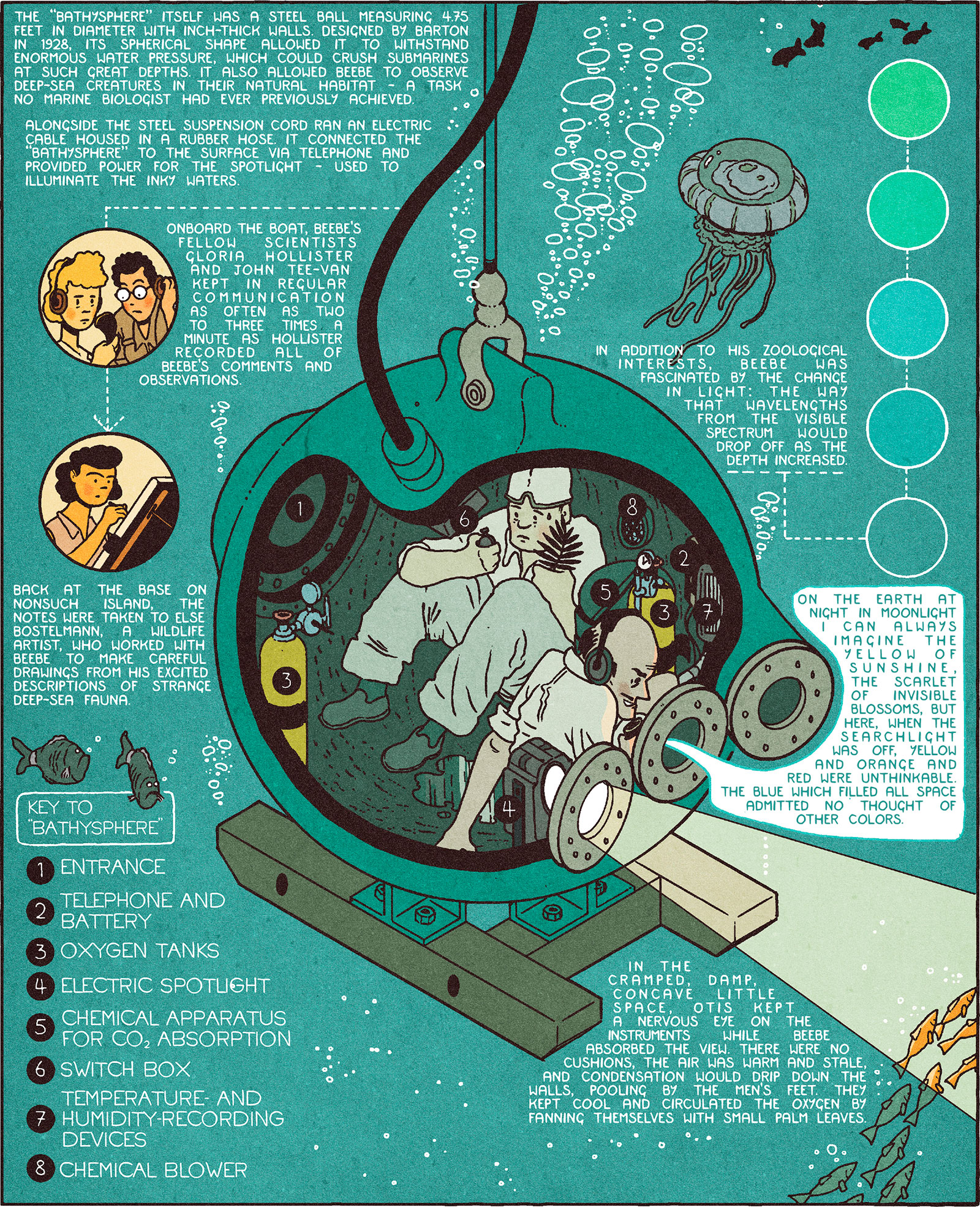 Artist Ruby Fresson's illustration of the interior of the bathysphere, with Barton and Beebe inside. Image: © Ruby Fresson