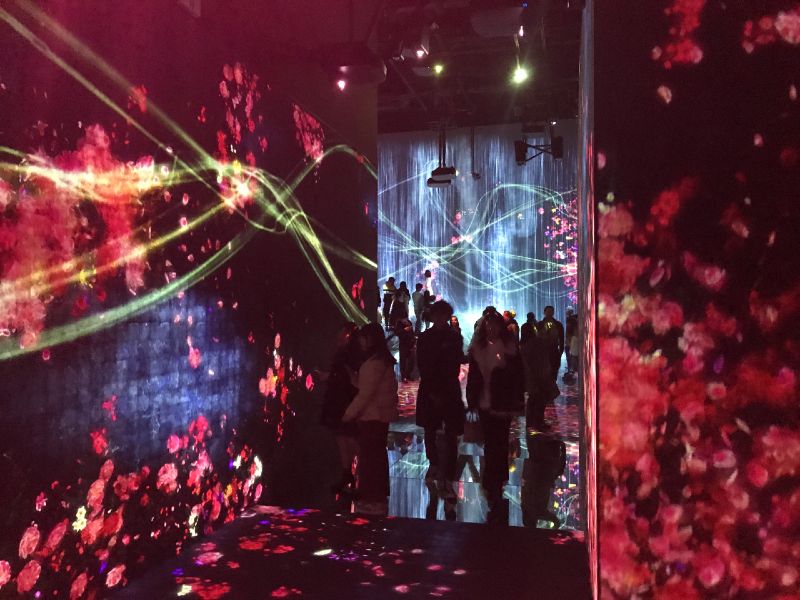Endless by teamLab