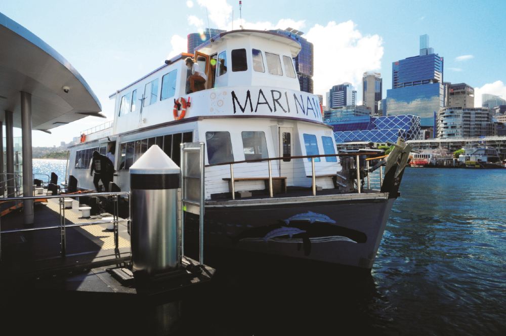 Mari Nawi (‘big canoe’) at Pyrmont Bay Wharf near the museum. Image Tribal Warrior Aboriginal Corporation 