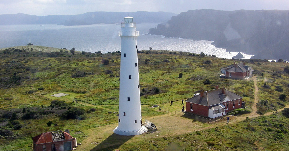 Friends of Tasman Island, Wildcare Inc. Image: via Rachel Chesmer. 