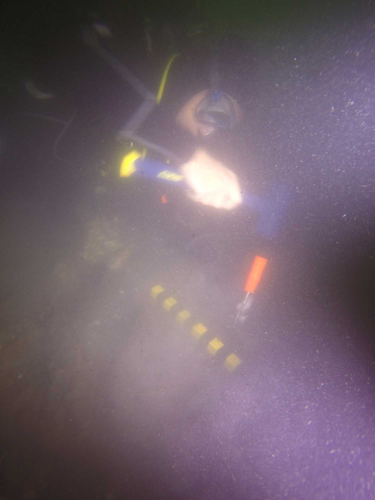 Sampling timbers of wreck RI 2394