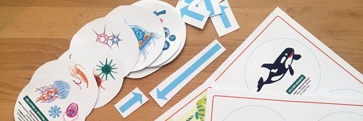 Make your own ocean food chain, a print-out-and-make activity by the Australian National Maritime Museum