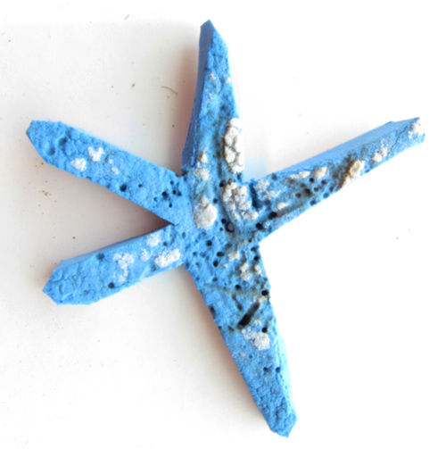 How to make a thong starfish