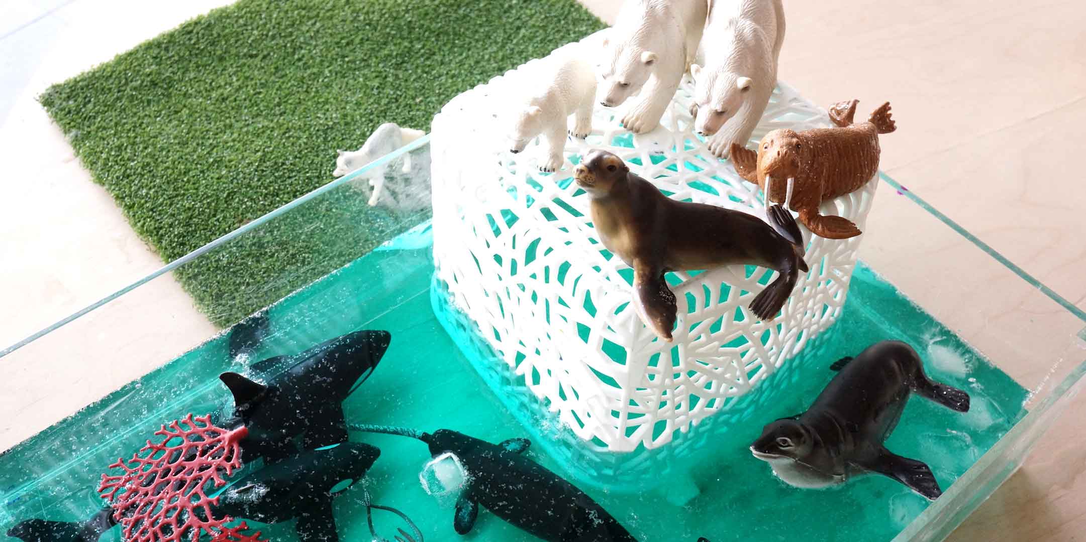 Polar Science Experiment: creating an arctic ecosystem