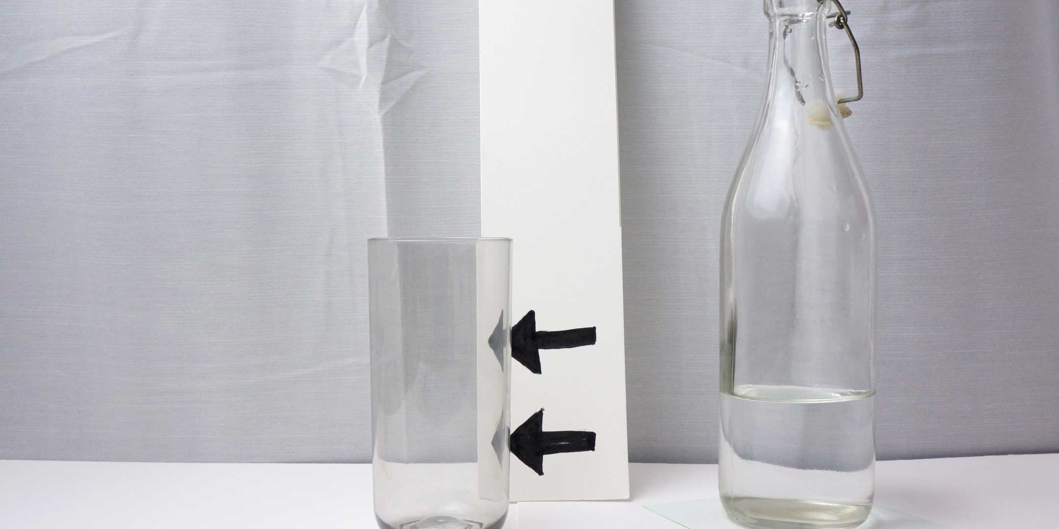 Polar Science Experiment: why do polar bears look white?