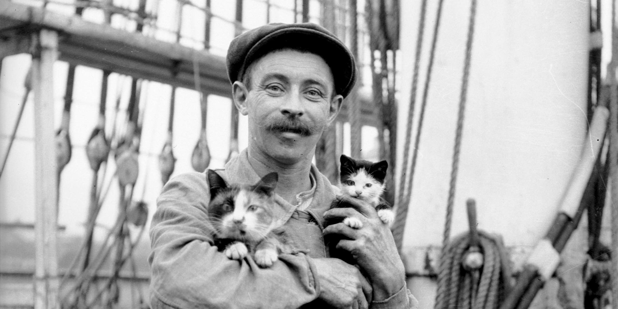 Sailor with pet cats sitting on hatch cover. c 1910