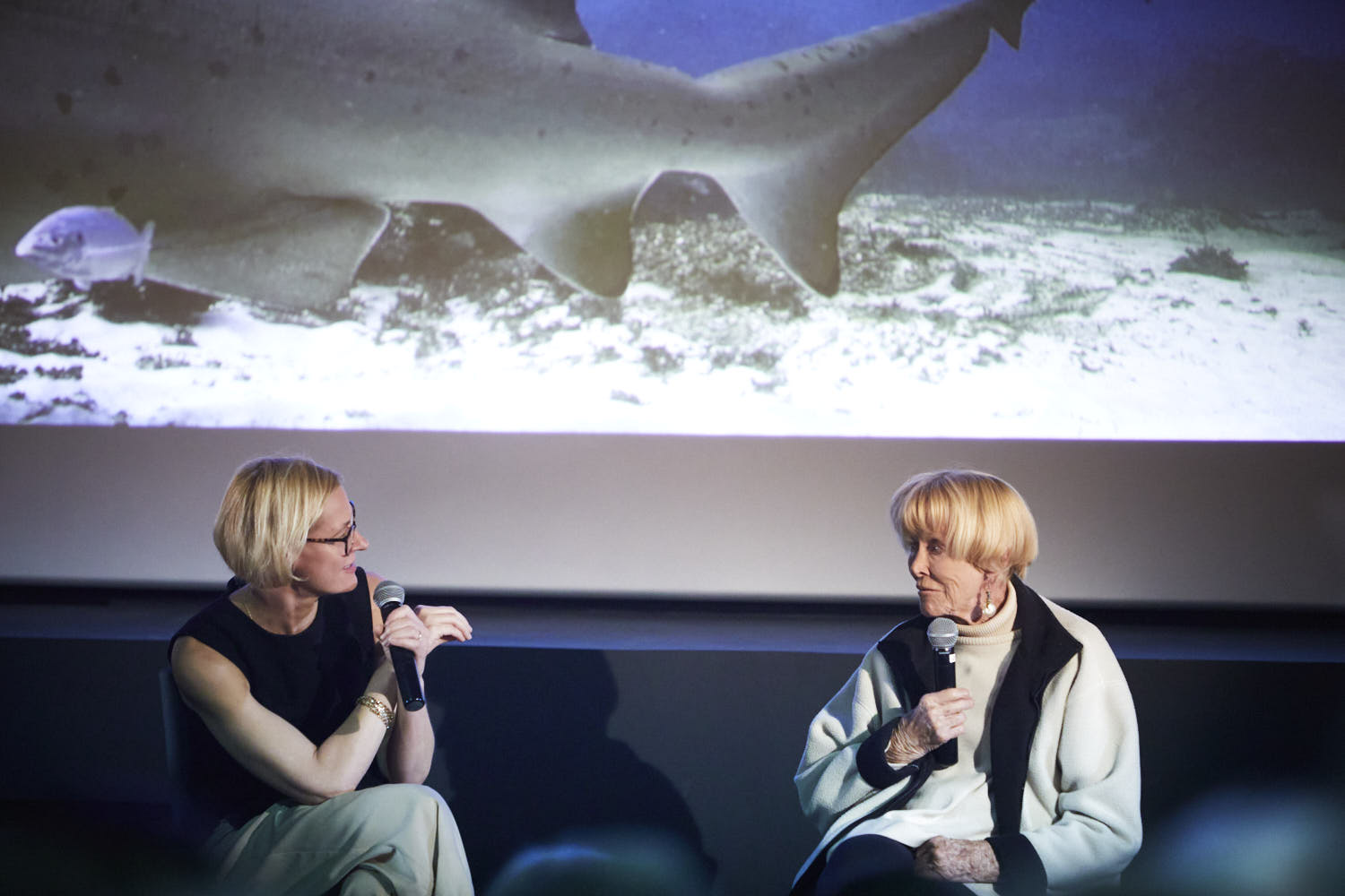 Valerie Taylor being interviewed. Photo by Shane Rozario.