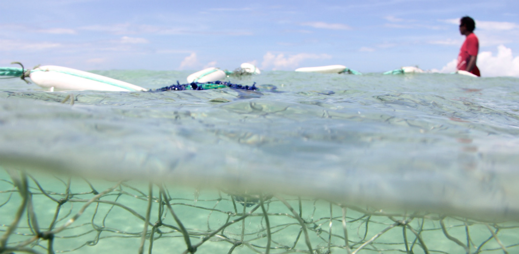 Photo: Erub Arts, Darnley Island, Torres Strait