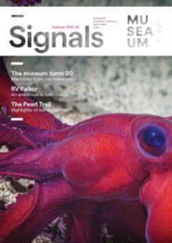 Signals Magazine Issue 137