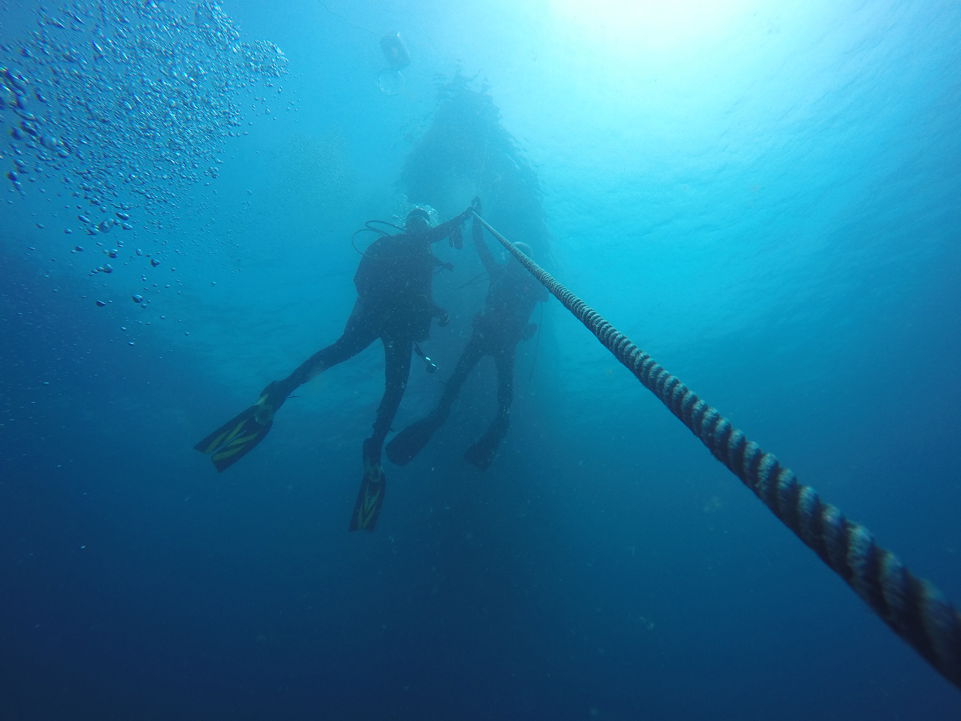 curator, vessel, maritime, shipwreck, diving